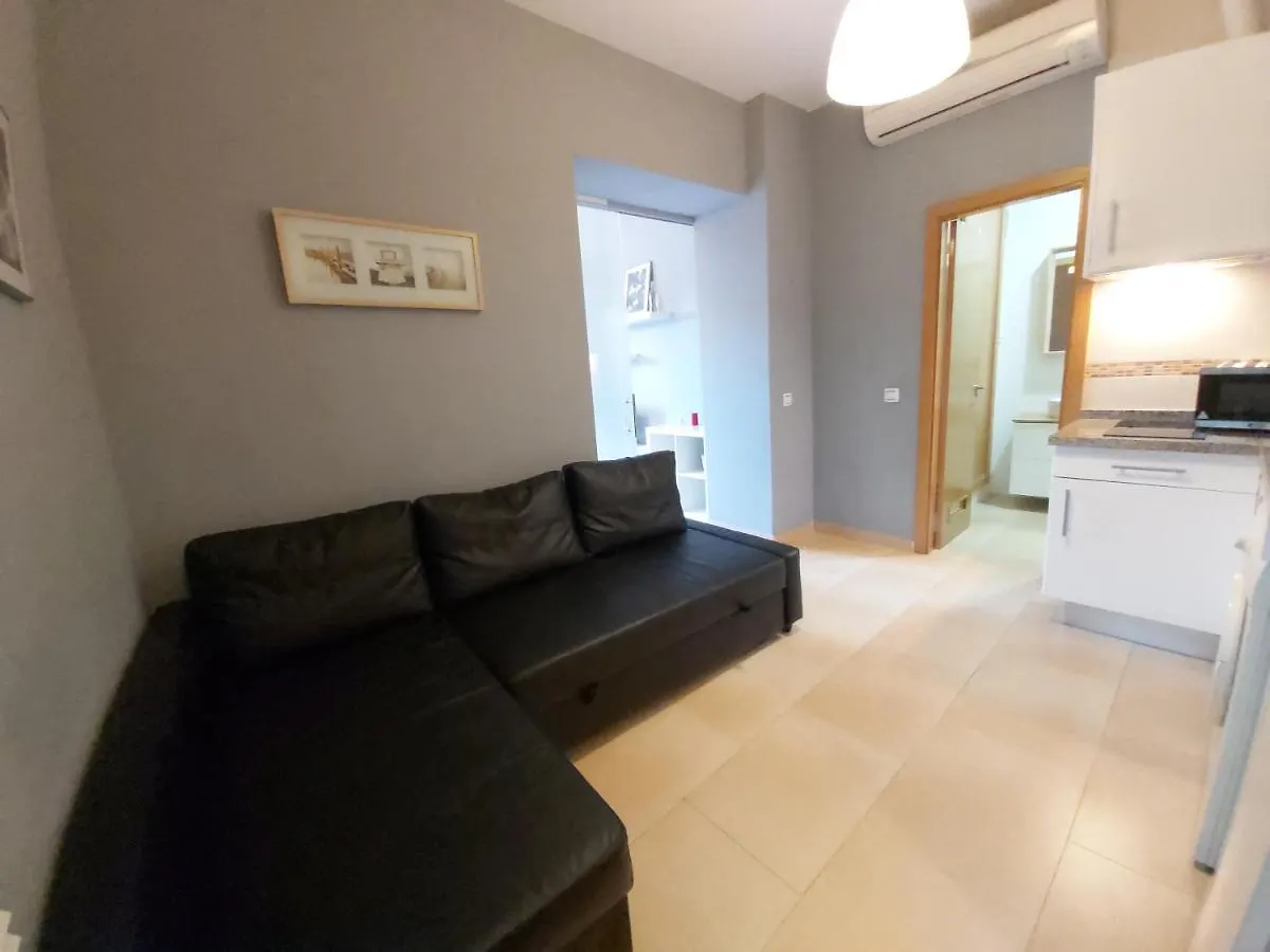 Del Parque Flats Central Malaga